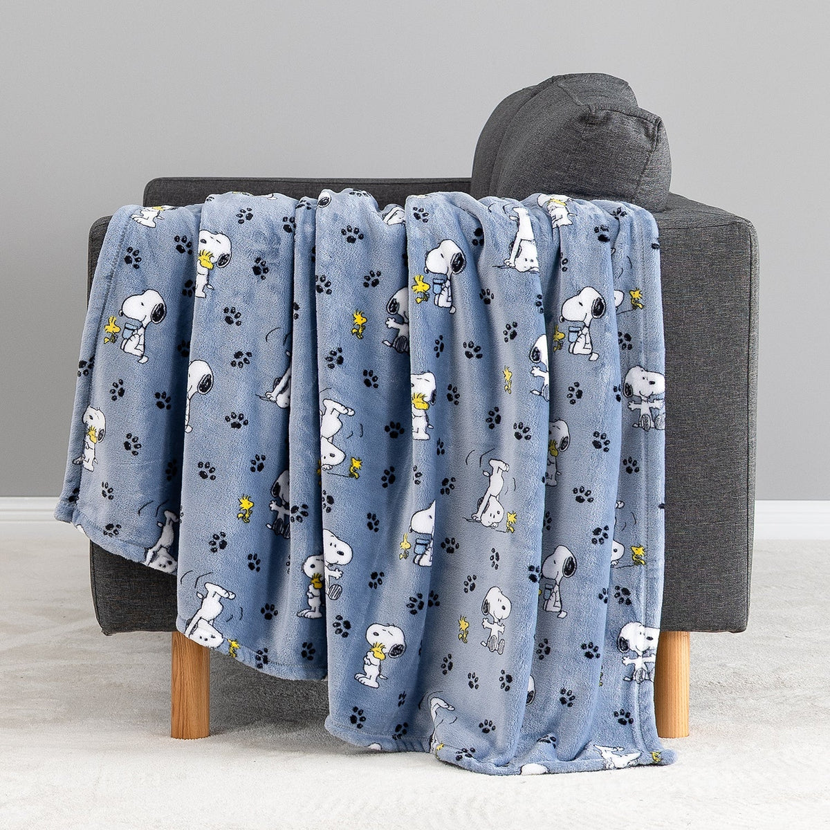 Peanuts® VelvetLoft® Throw