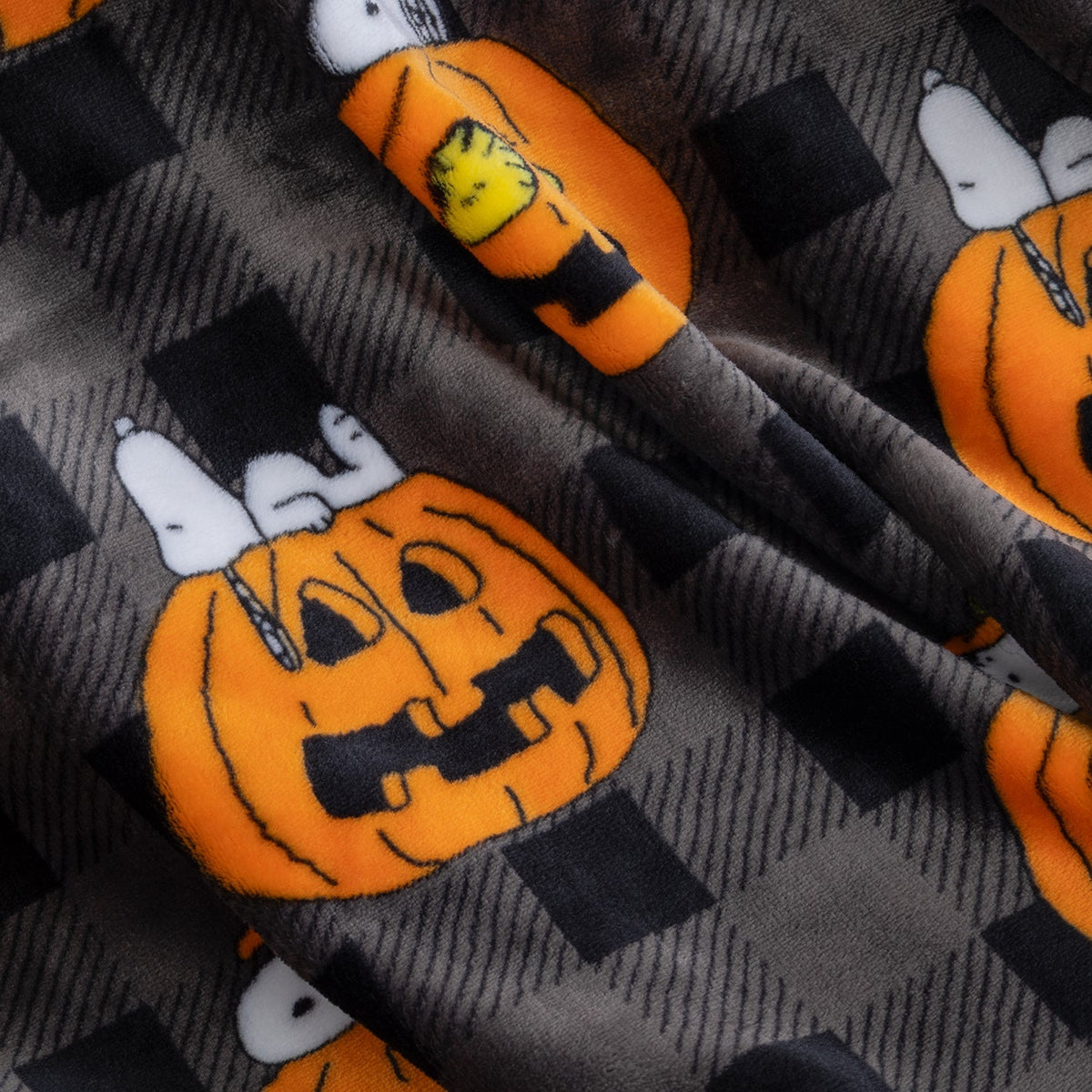 Peanuts® VelvetLoft® Throw